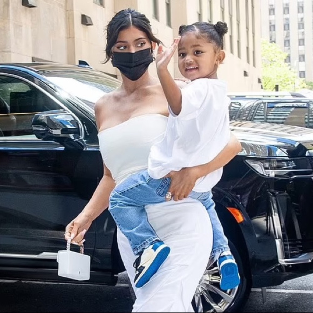 Amina Muaddi Pernille Bag